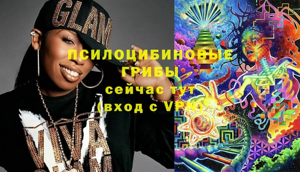 крисы Покачи