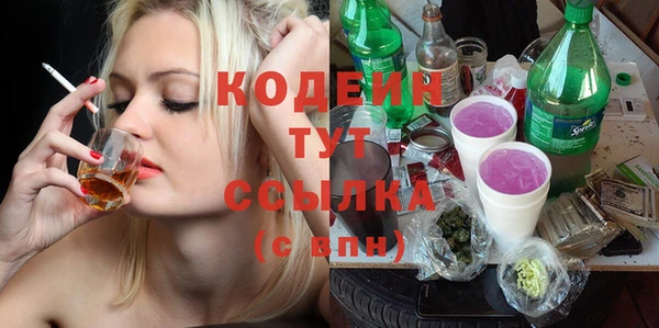 крисы Покачи